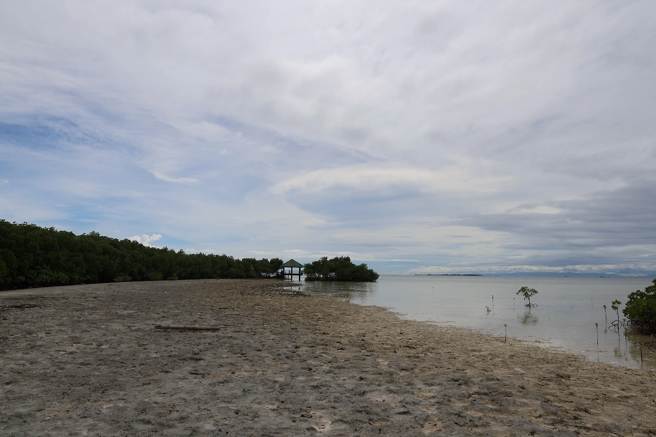 0R5A0859_новый размер.JPG