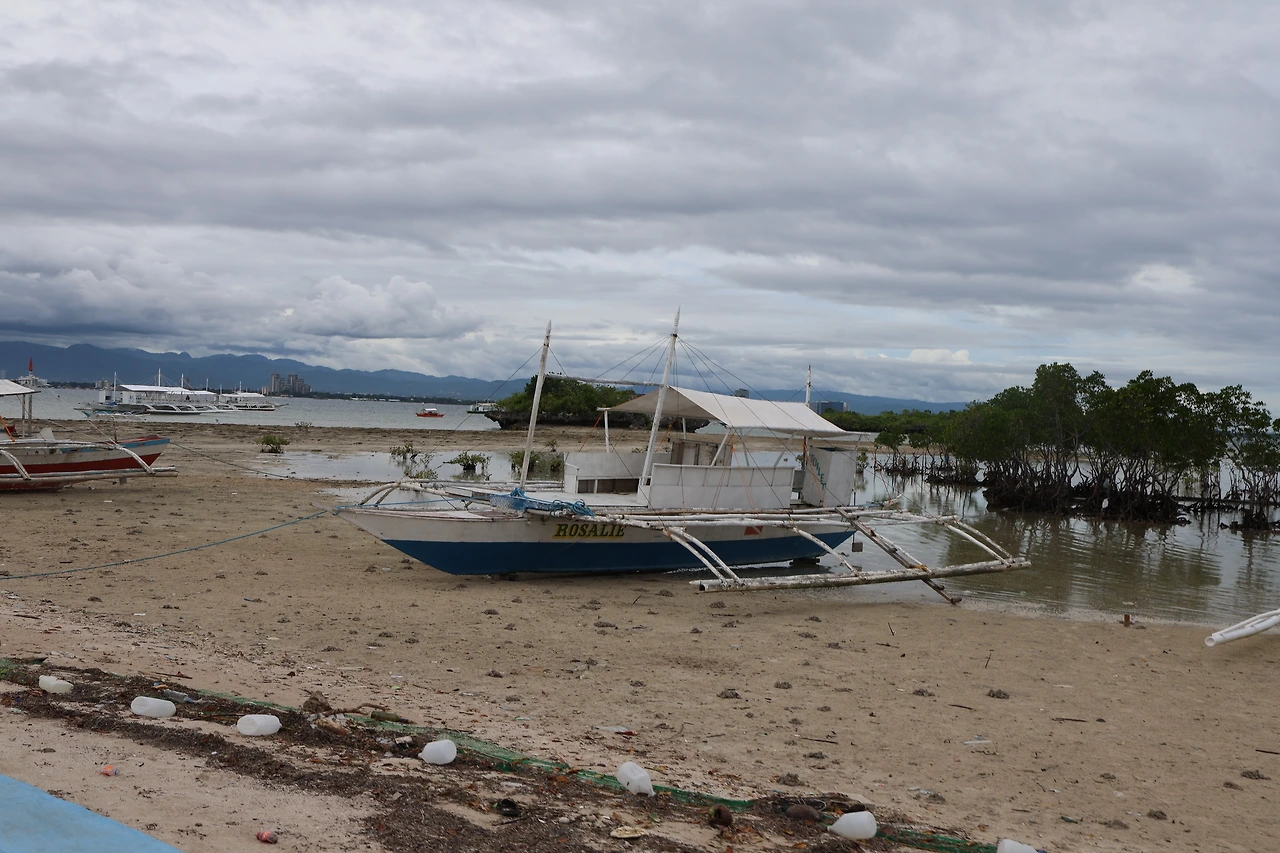 0R5A0830_новый размер.JPG