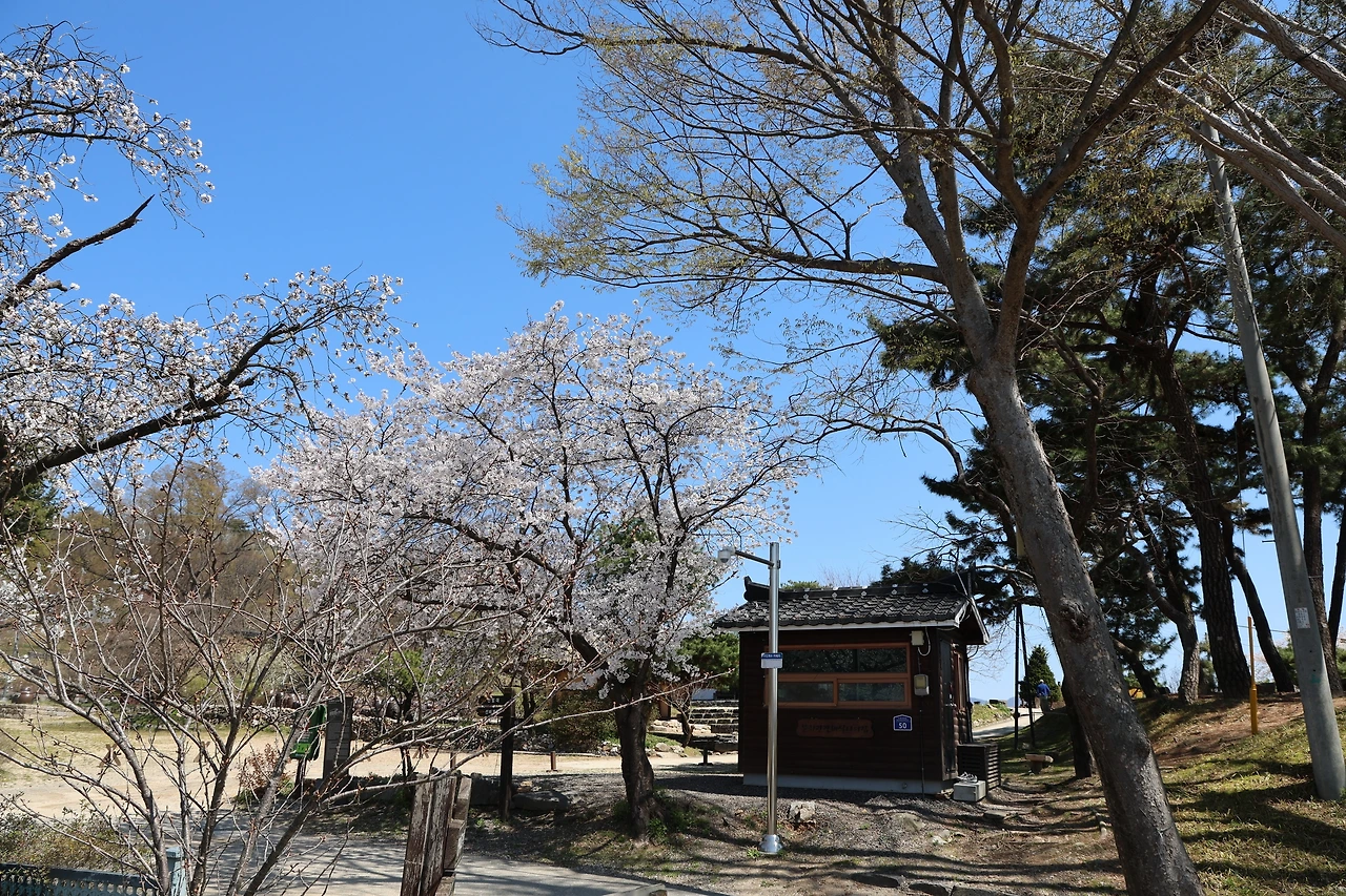 0R5A7700_новый размер.JPG