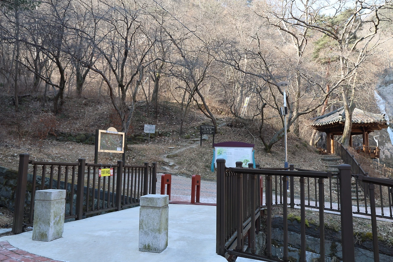 0R5A9242_новый размер.JPG