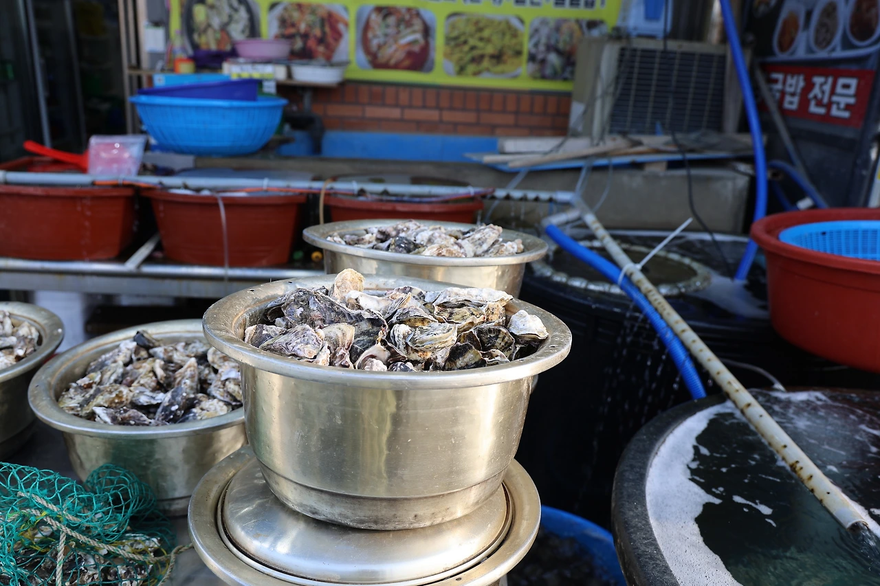 0R5A9651_новый размер.JPG