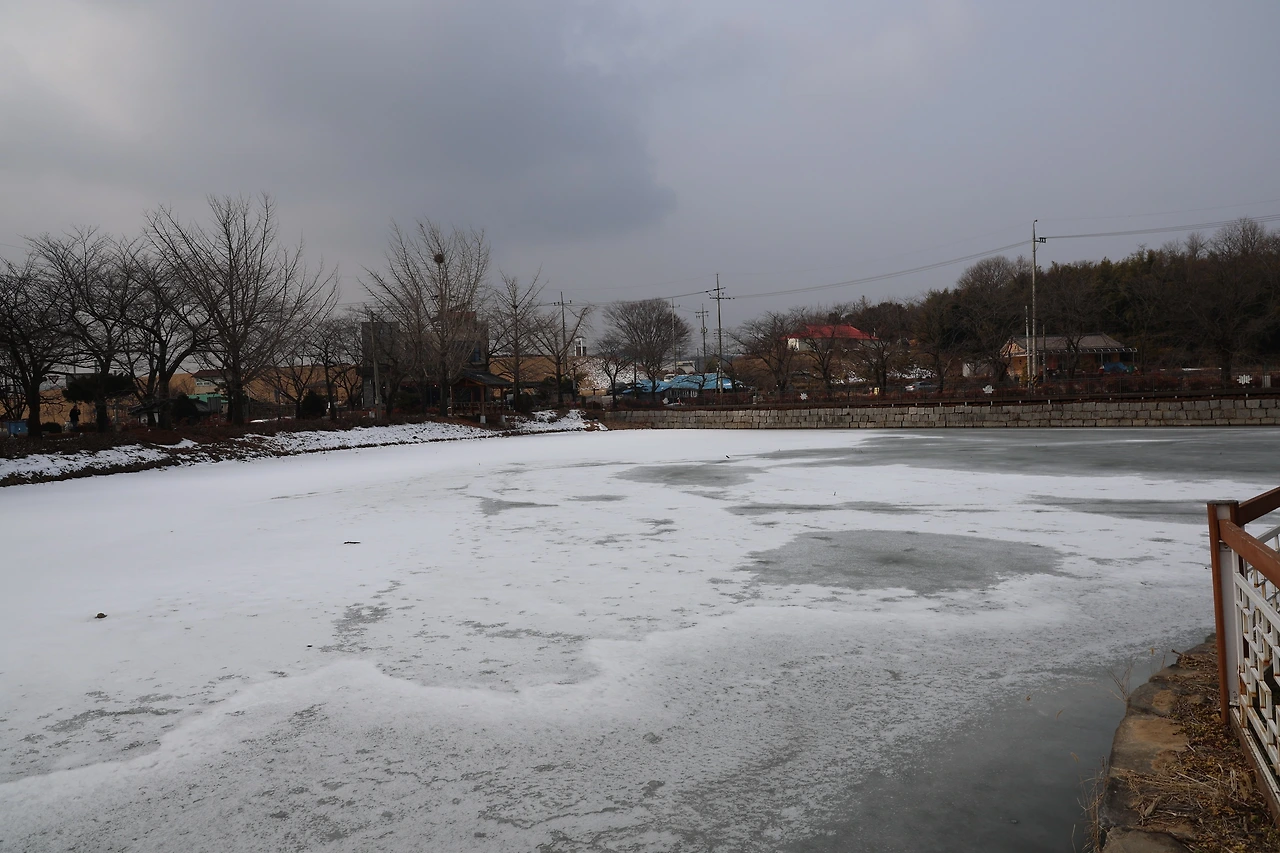 0R5A9707_новый размер.JPG