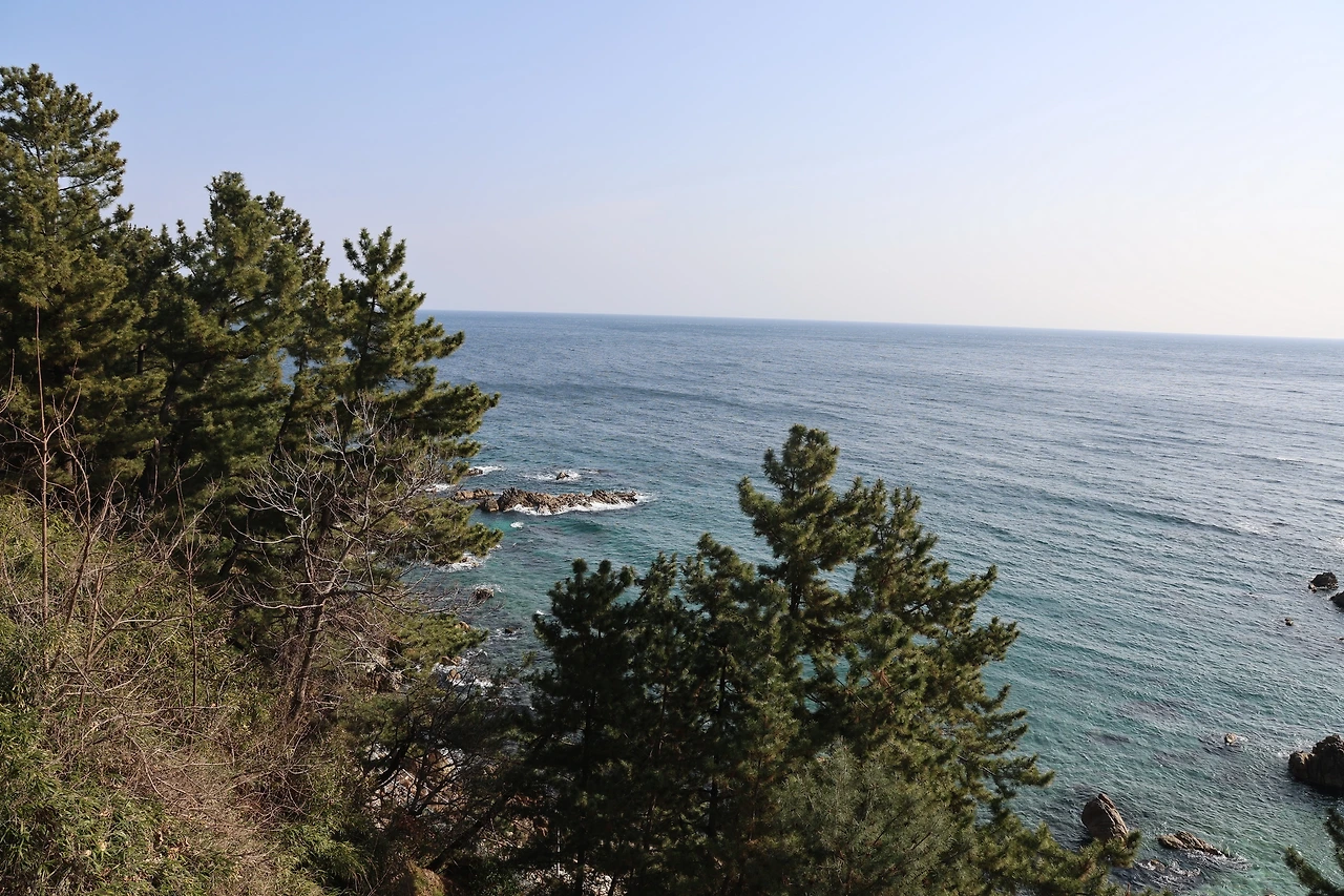 0R5A2154_новый размер.JPG