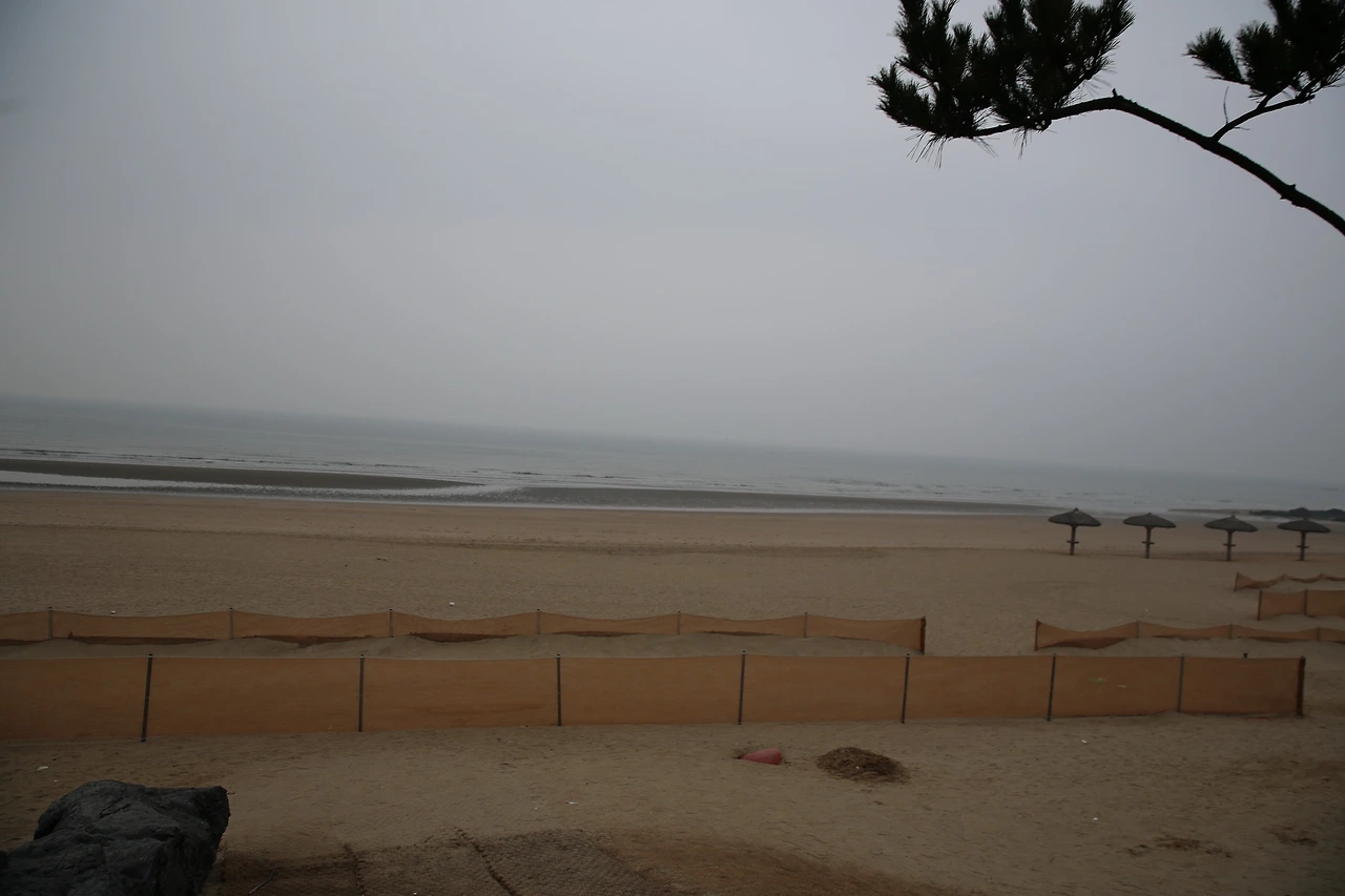 MG0A7232_новый размер.JPG