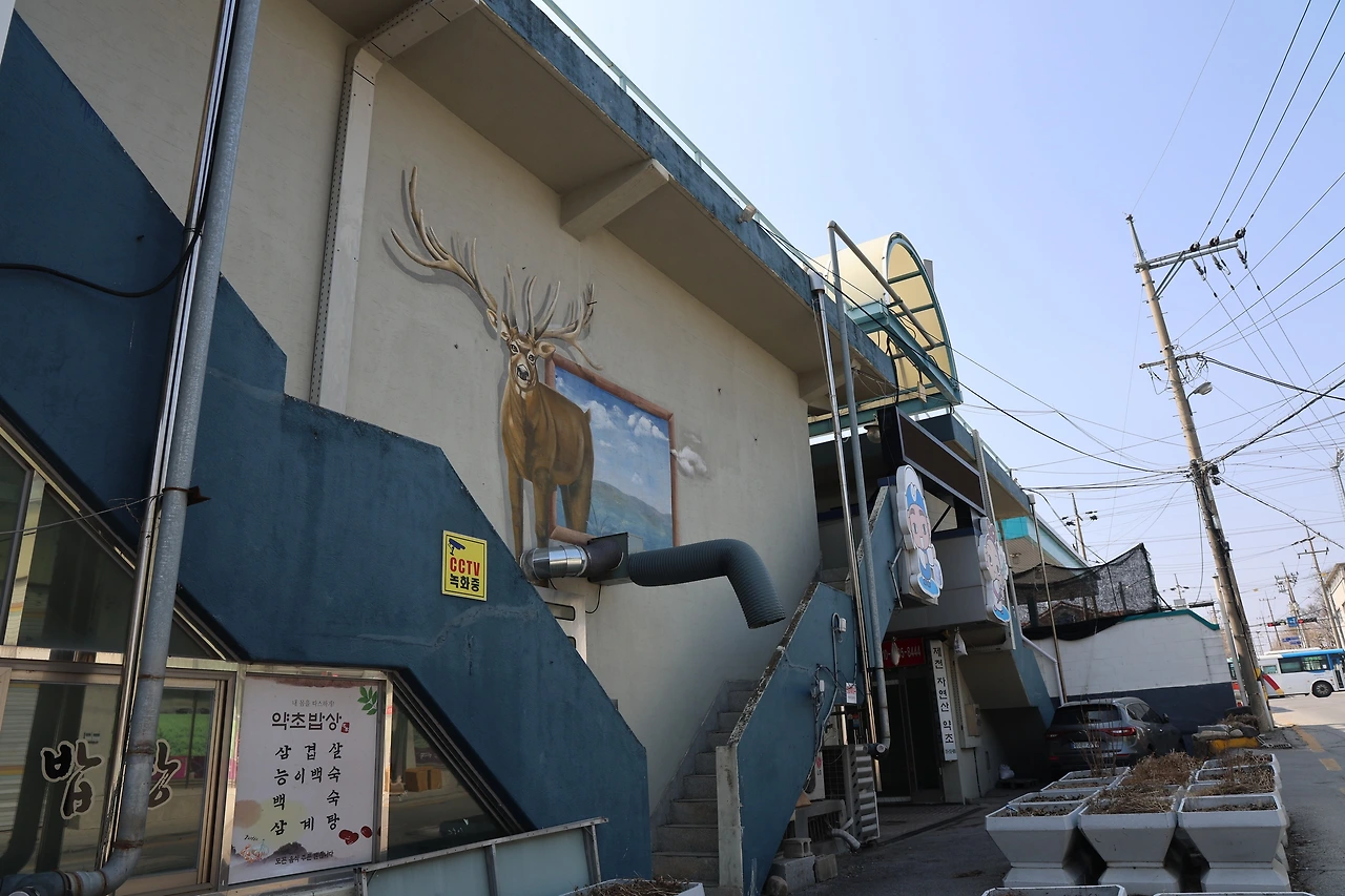 0R5A5522_новый размер.JPG