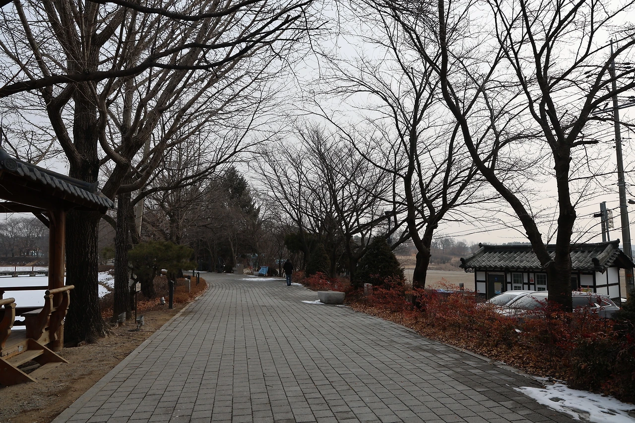 0R5A9696_новый размер.JPG