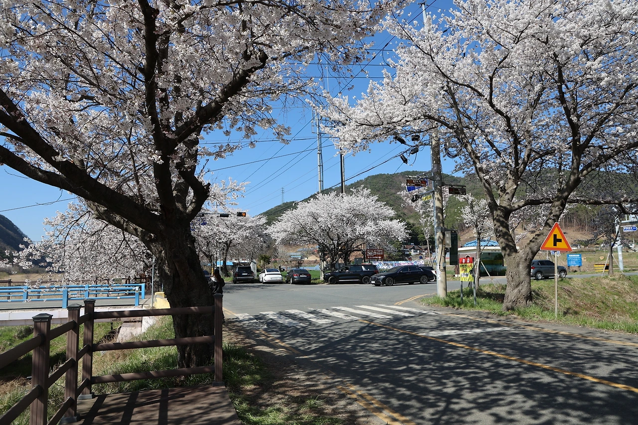 0R5A7786_новый размер.JPG