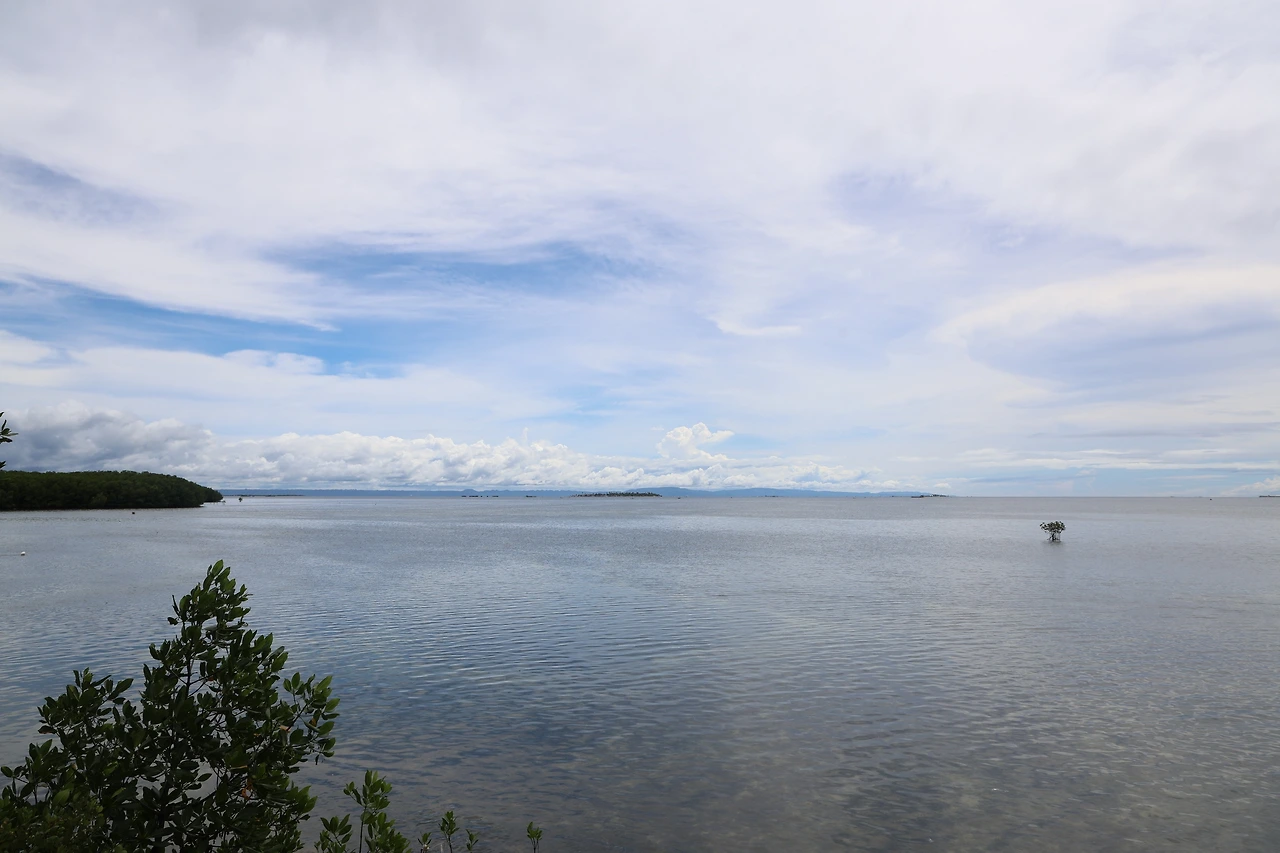 0R5A0865_новый размер.JPG