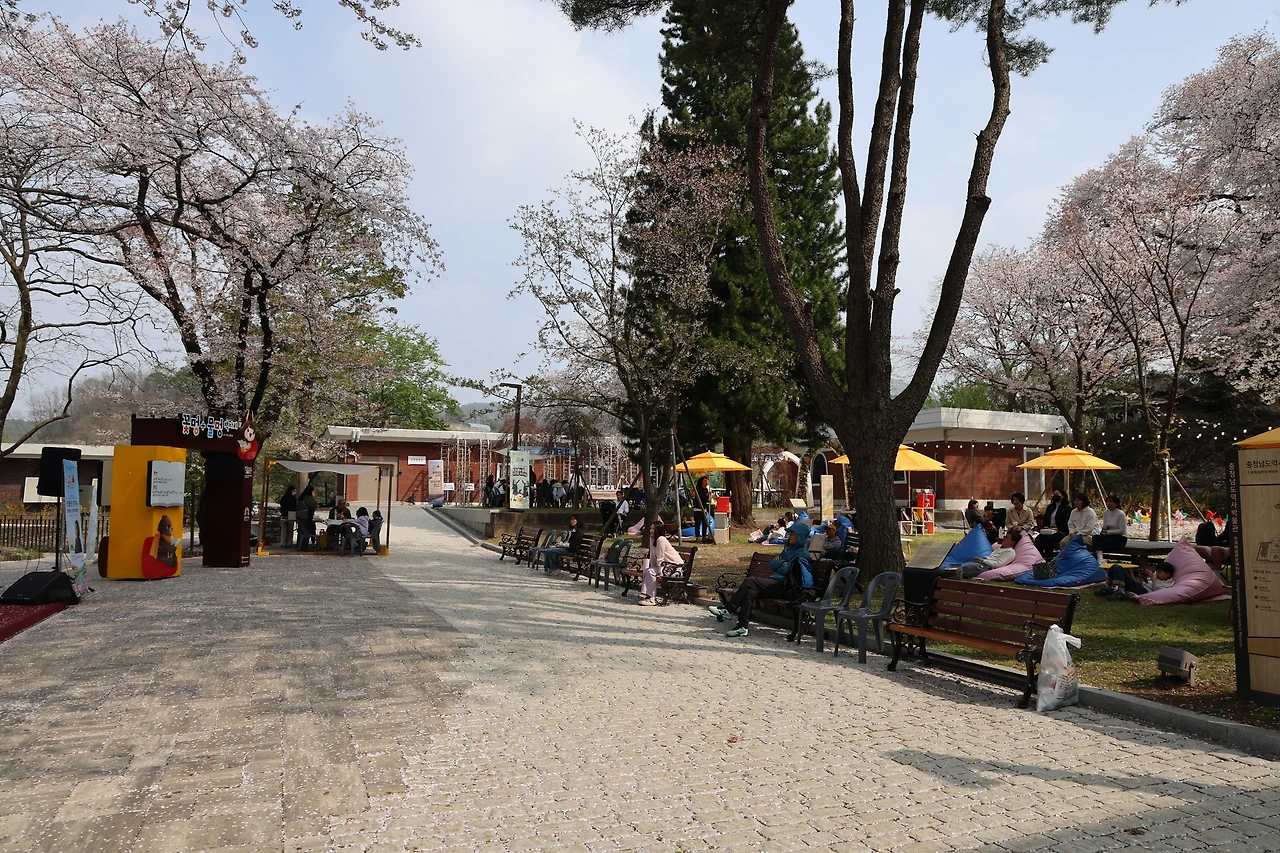 0R5A7868_новый размер.JPG