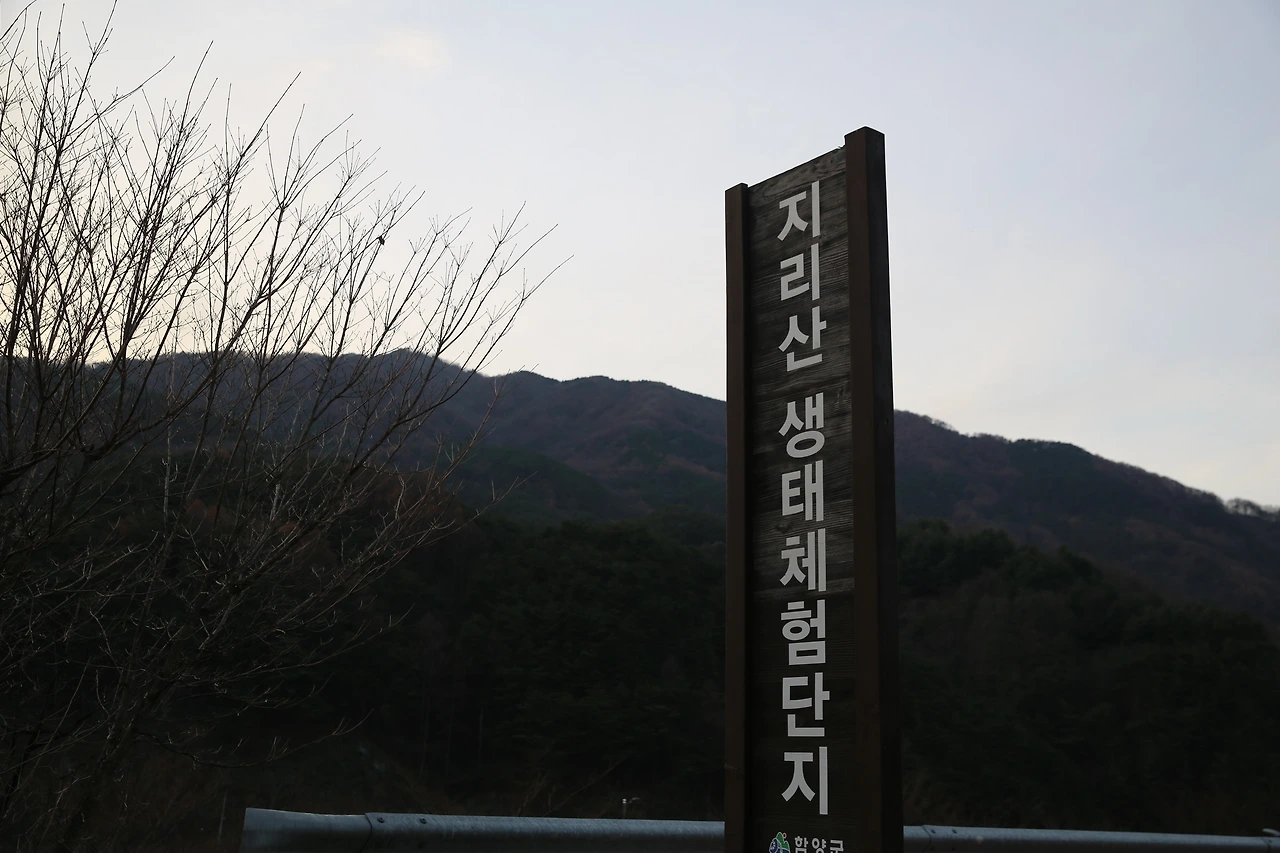 MG0A3777_новый размер.JPG