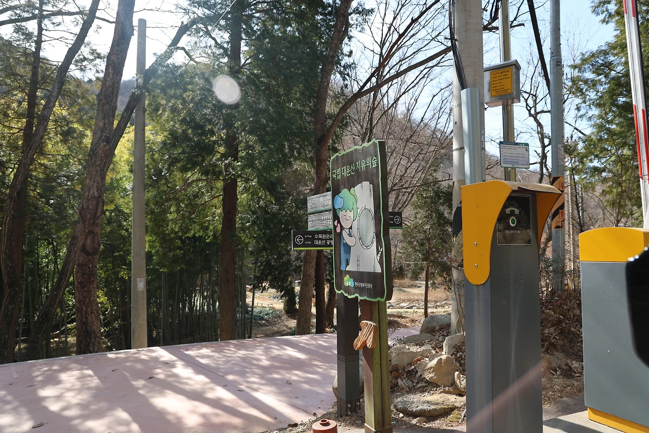 0R5A0274_новый размер.JPG