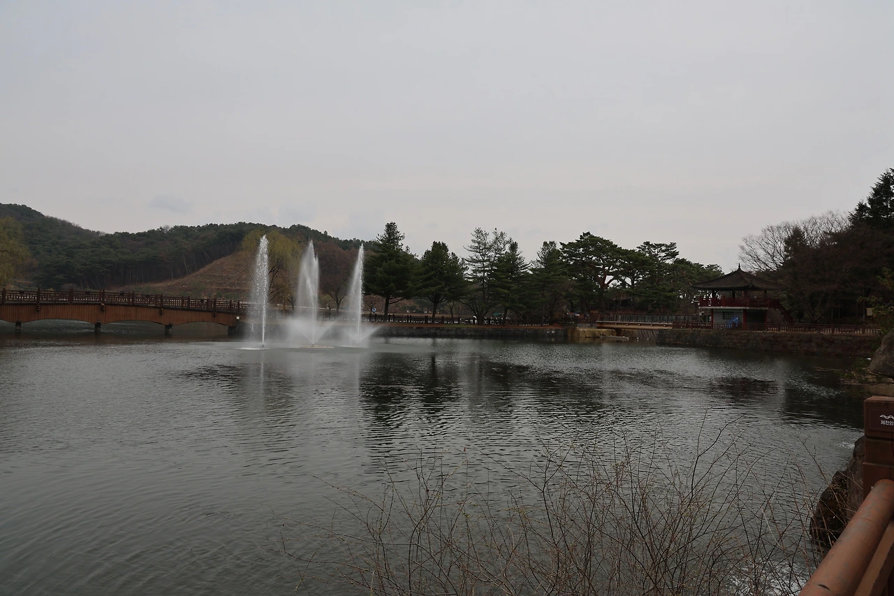 0R5A6926_новый размер.JPG