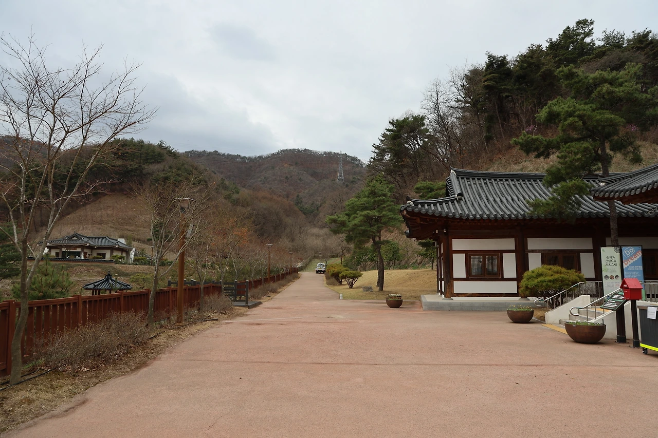 0R5A6863_новый размер.JPG