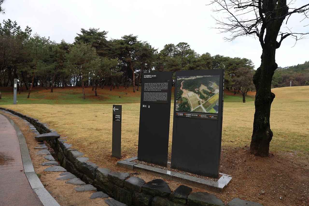 0R5A7284_новый размер.JPG