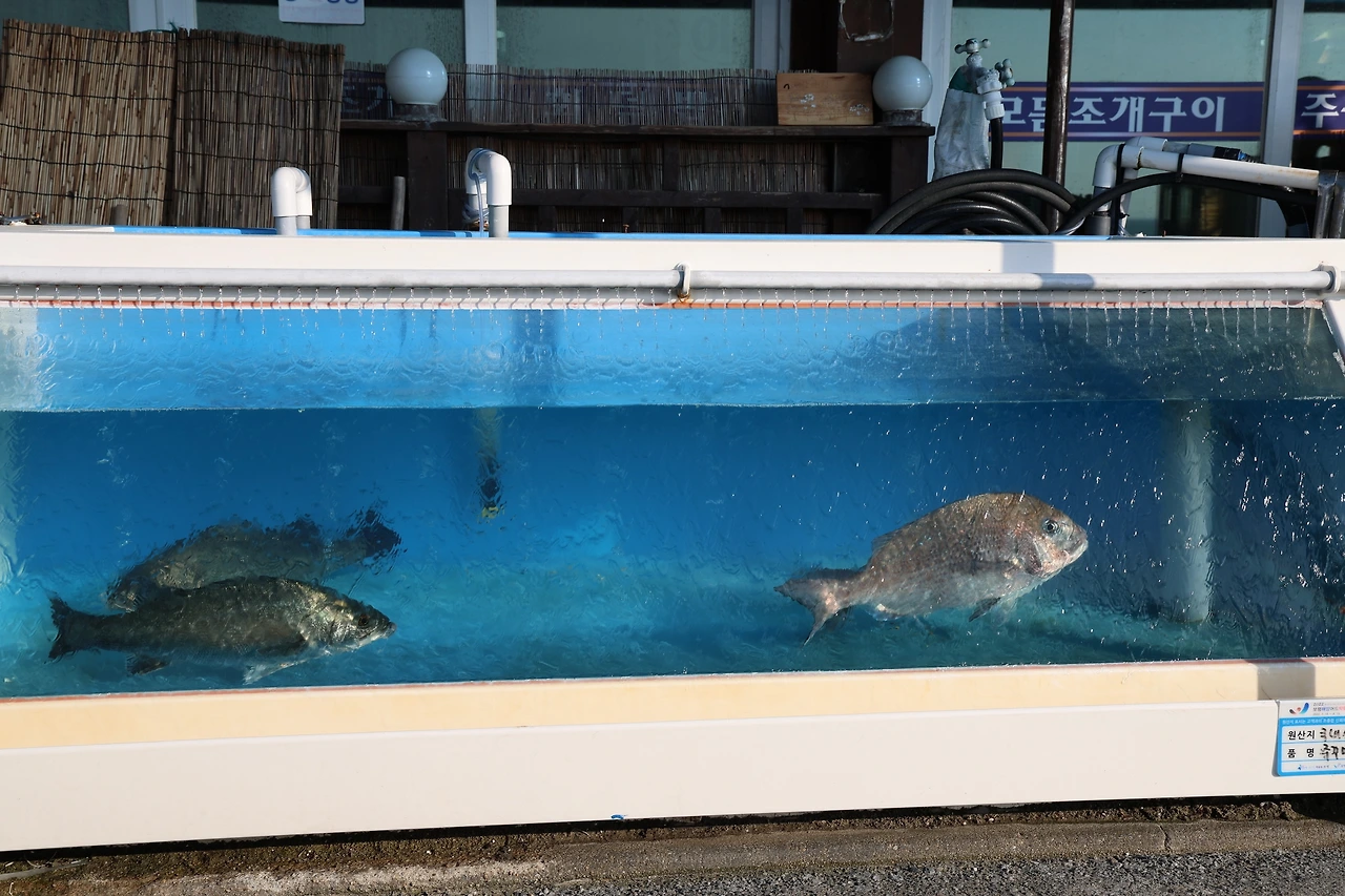 0R5A3930_новый размер.JPG