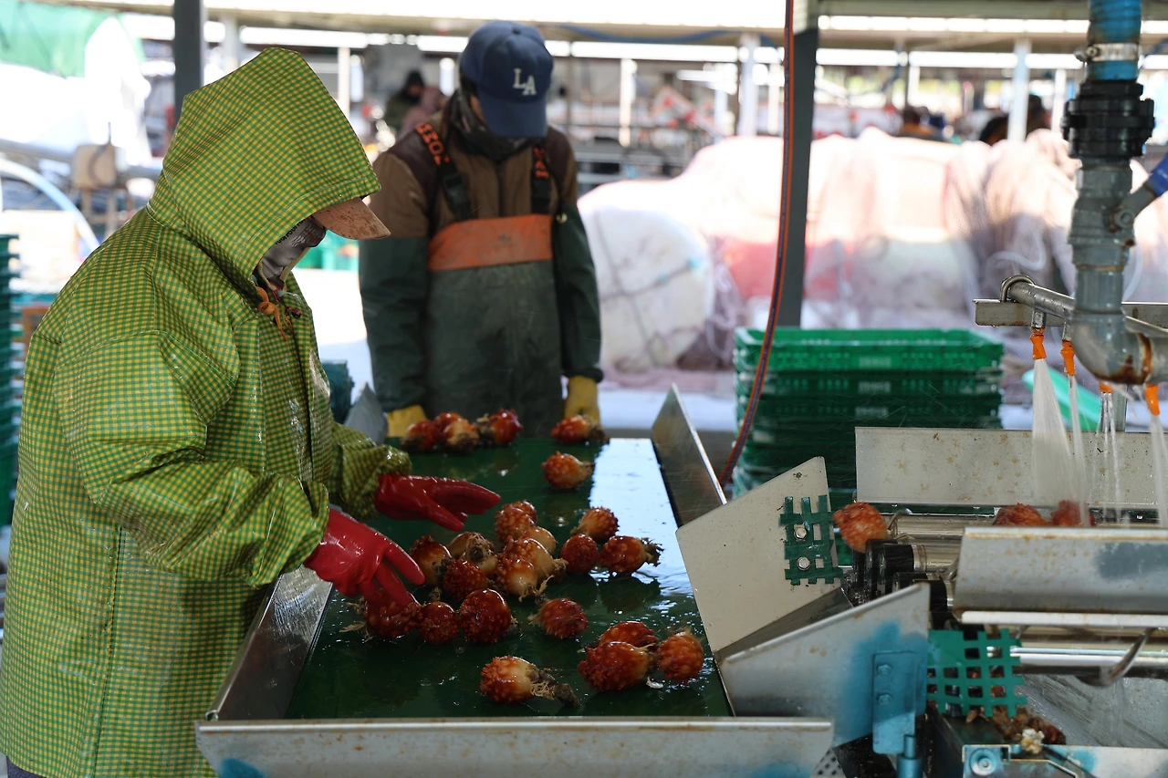 0R5A5002_новый размер.JPG