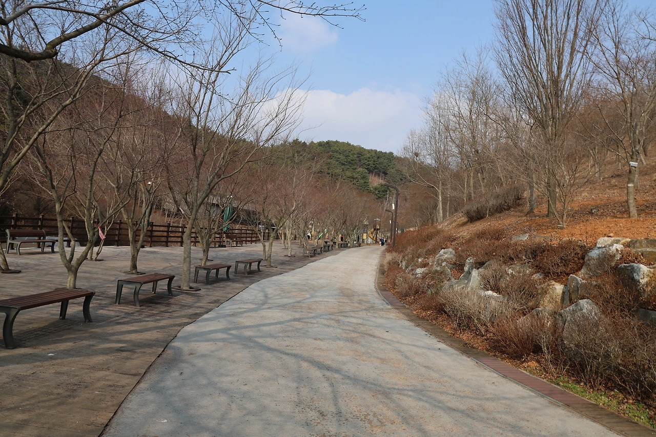 0R5A5280_новый размер.JPG