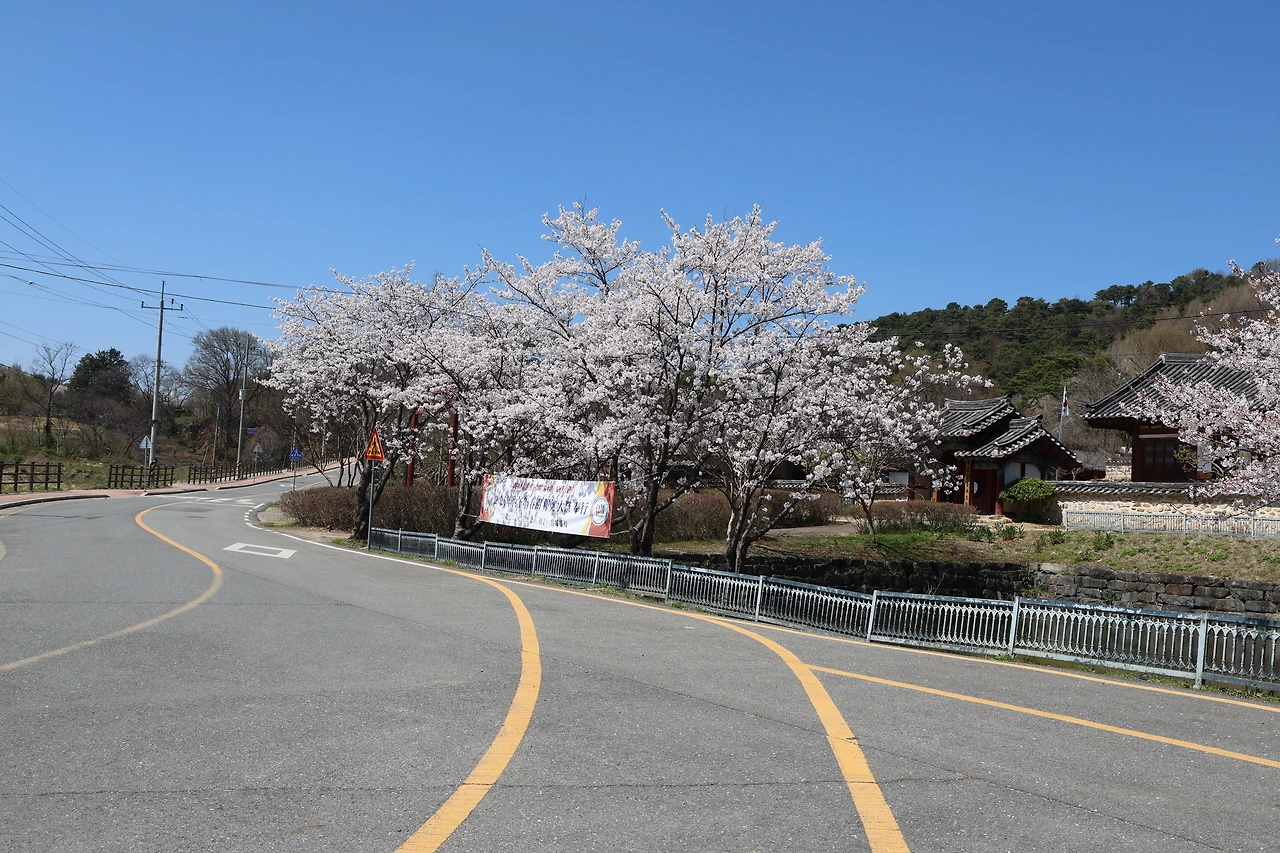 0R5A7692_новый размер.JPG