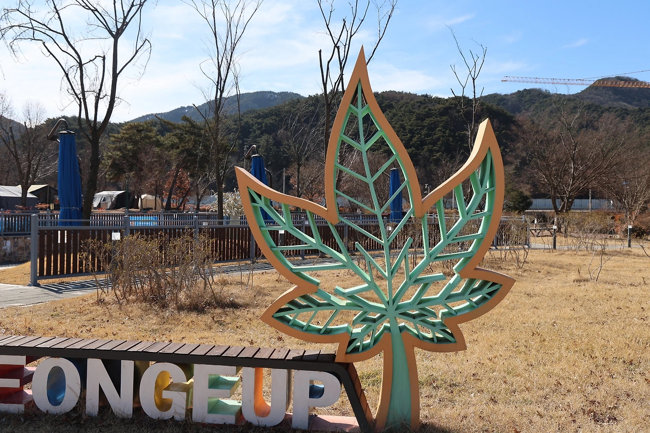 0R5A1615_новый размер.JPG