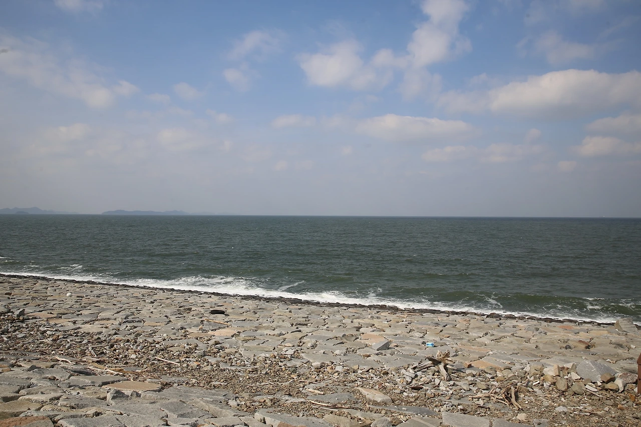 MG0A3156_новый размер.JPG