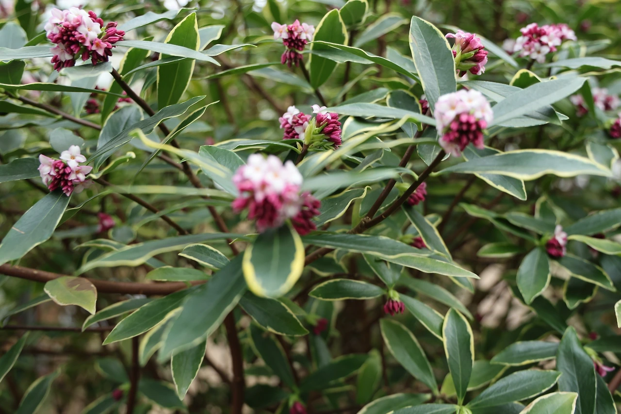 0R5A5293_новый размер.JPG