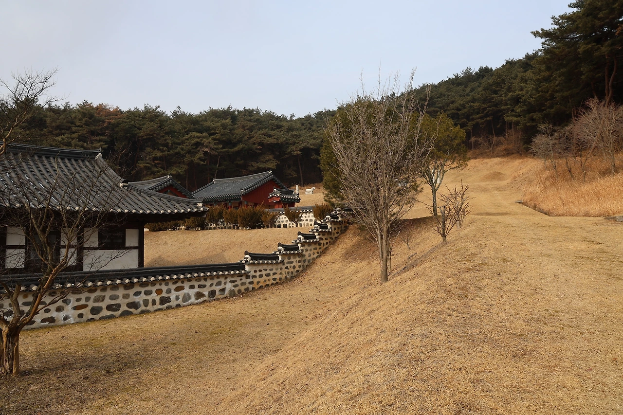 0R5A9717_новый размер.JPG