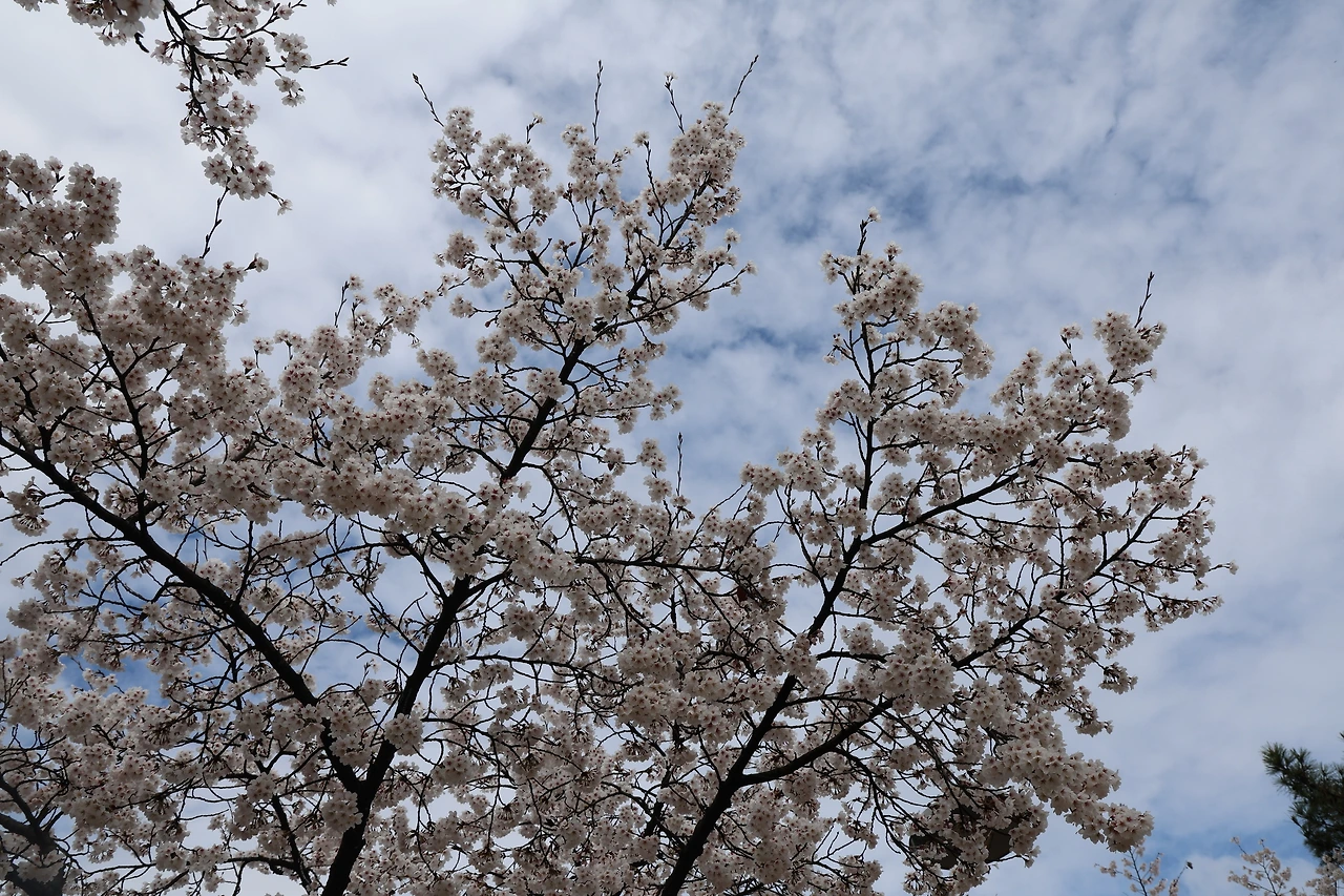 0R5A7327_новый размер.JPG