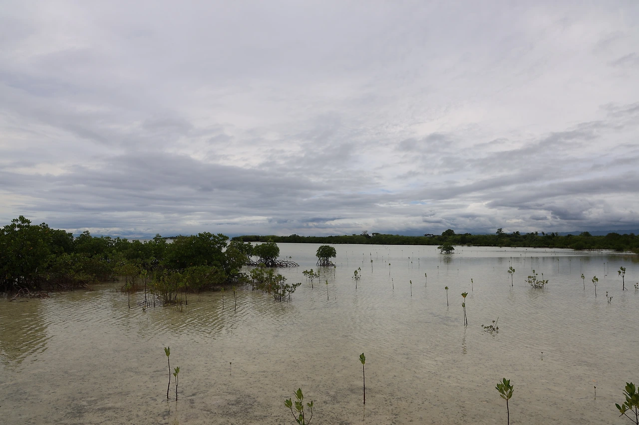 0R5A0853_новый размер.JPG