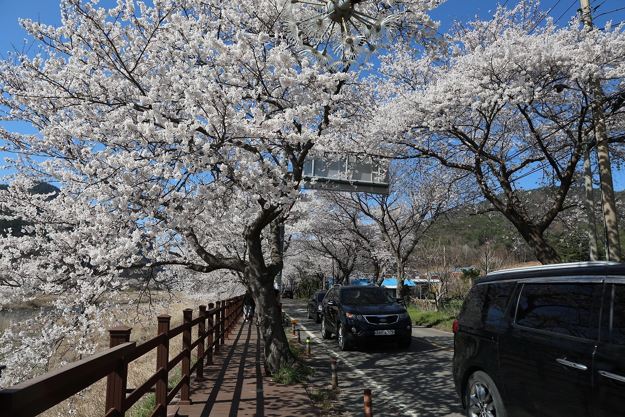 0R5A7792_новый размер.JPG