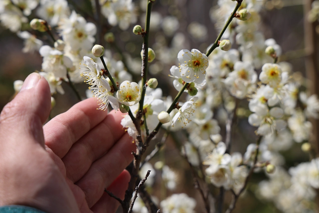 0R5A5835_новый размер.JPG