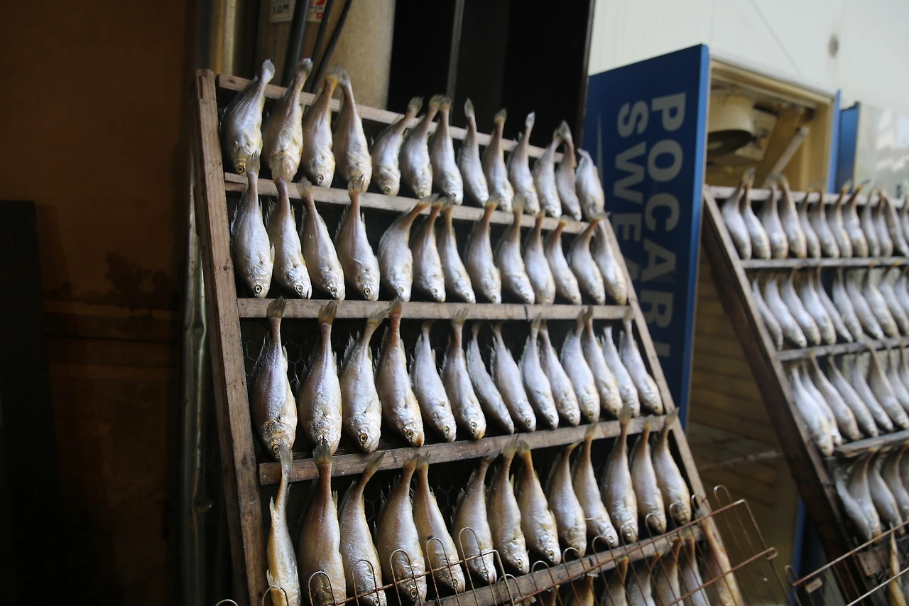 MG0A7178_новый размер.JPG