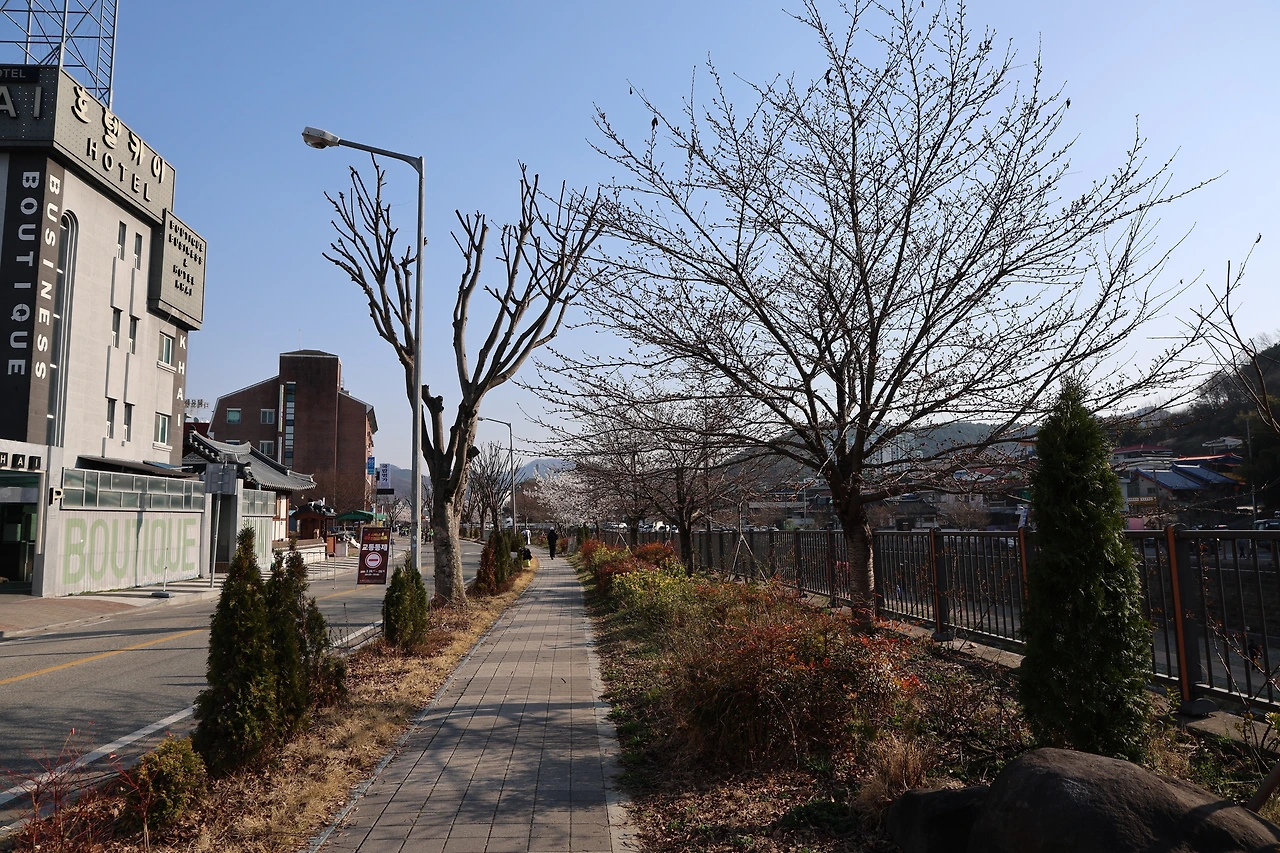 0R5A6535_новый размер.JPG