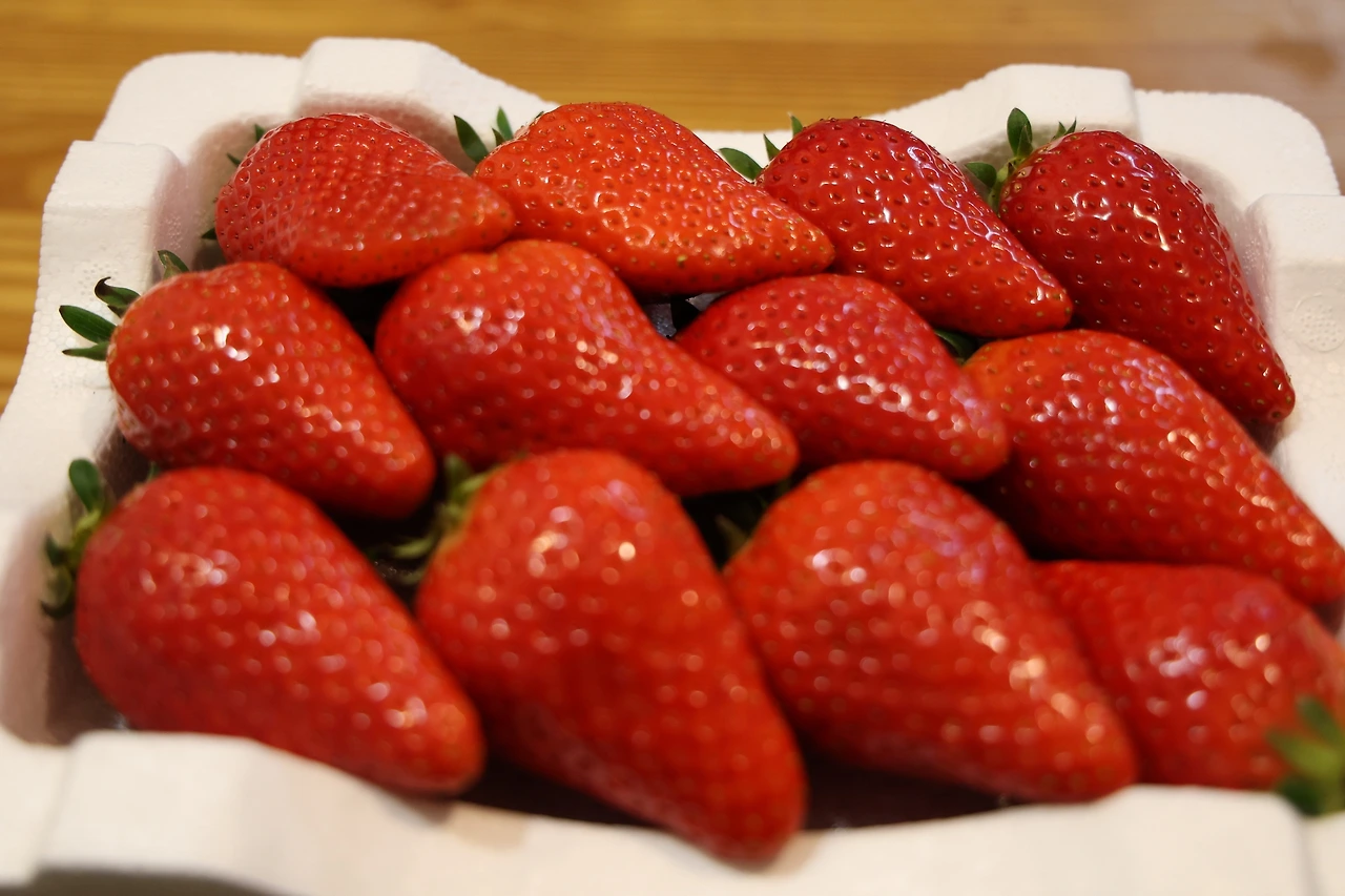 0R5A6485_новый размер.JPG