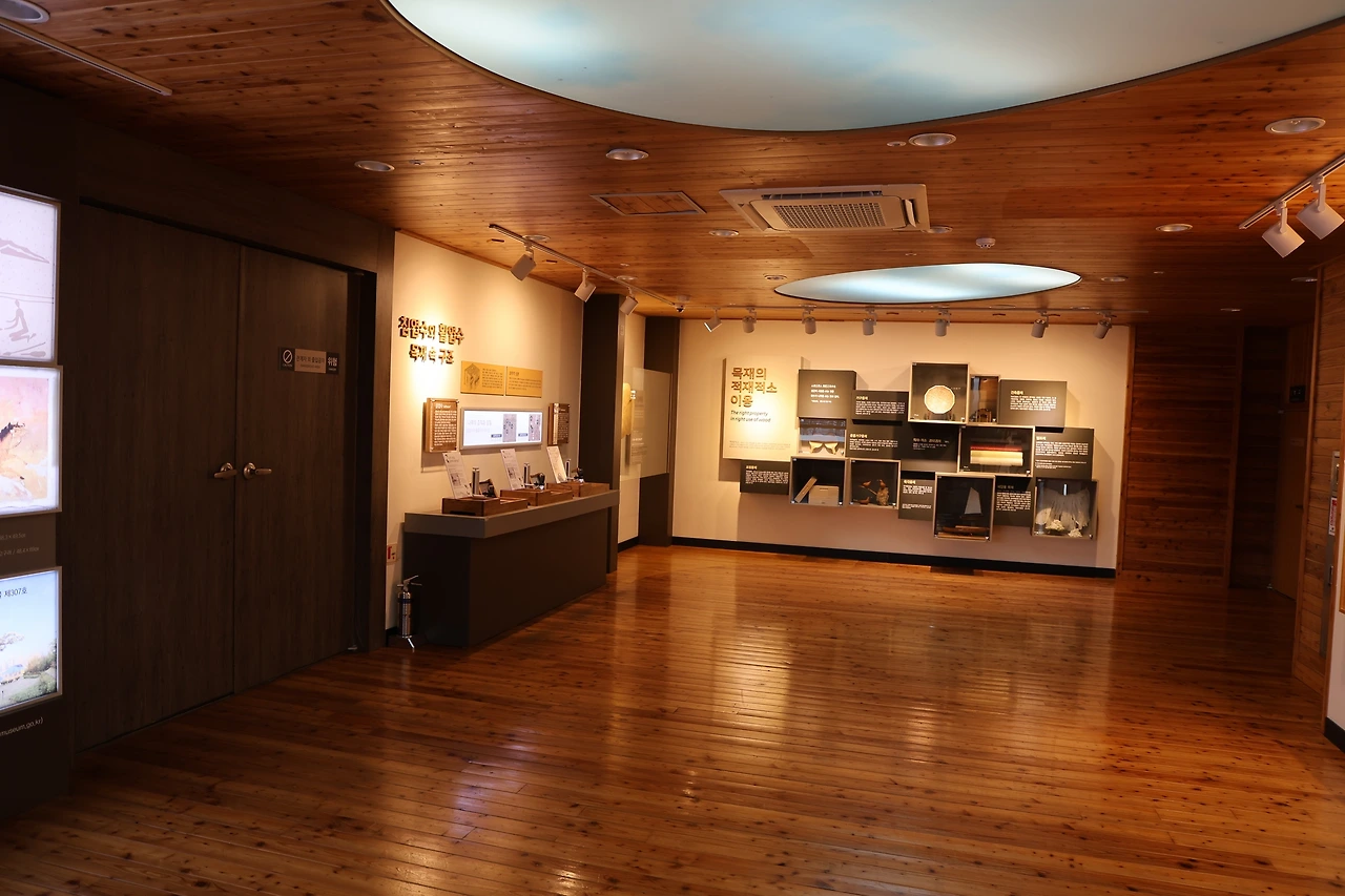 0R5A7291_новый размер.JPG