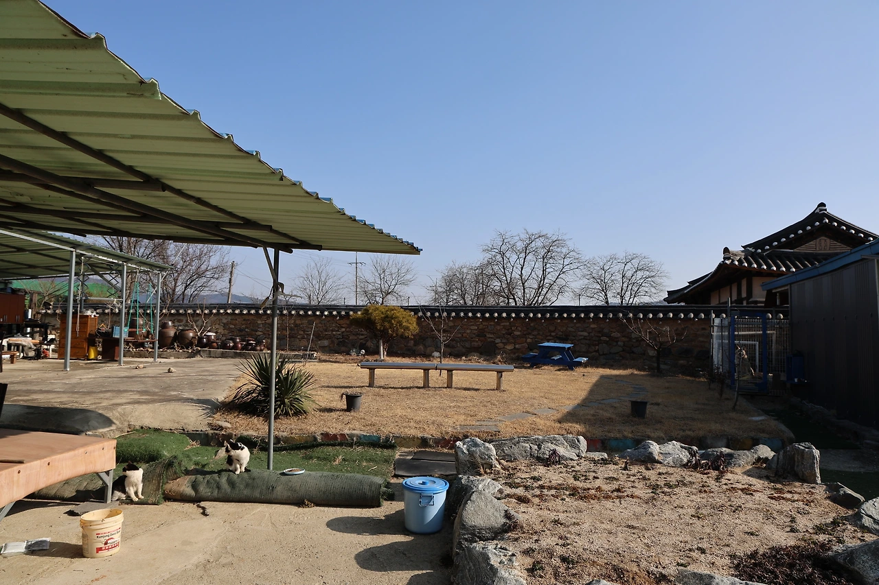 0R5A9272_новый размер.JPG