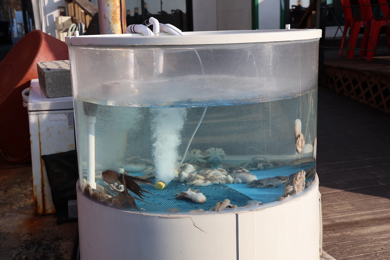 0R5A3927_новый размер.JPG