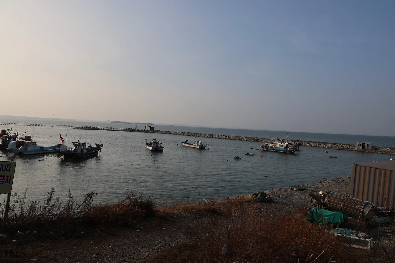 0R5A9656_новый размер.JPG