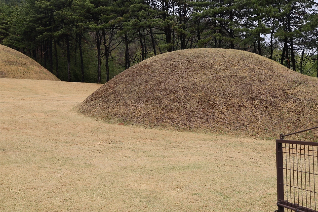 0R5A7298_новый размер.JPG