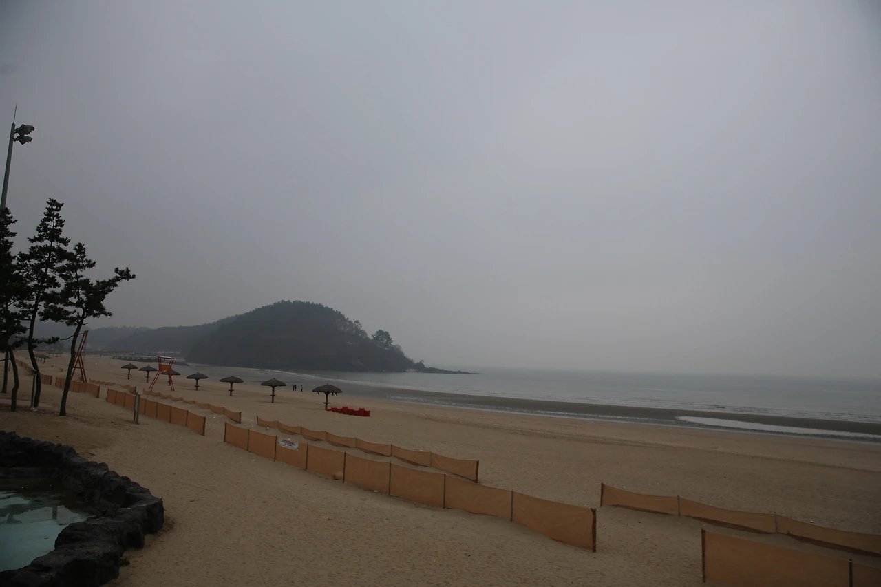 MG0A7231_новый размер.JPG