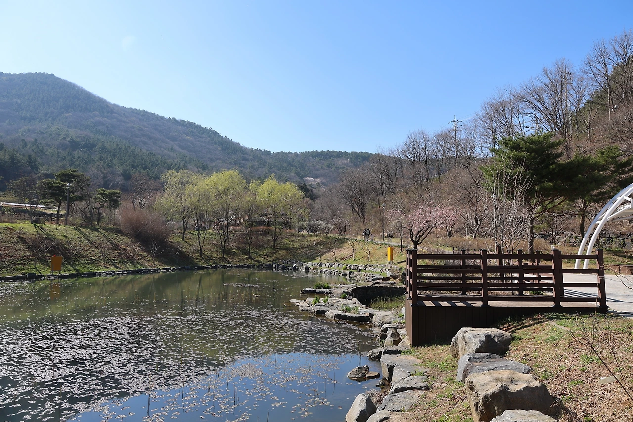 0R5A7821_новый размер.JPG