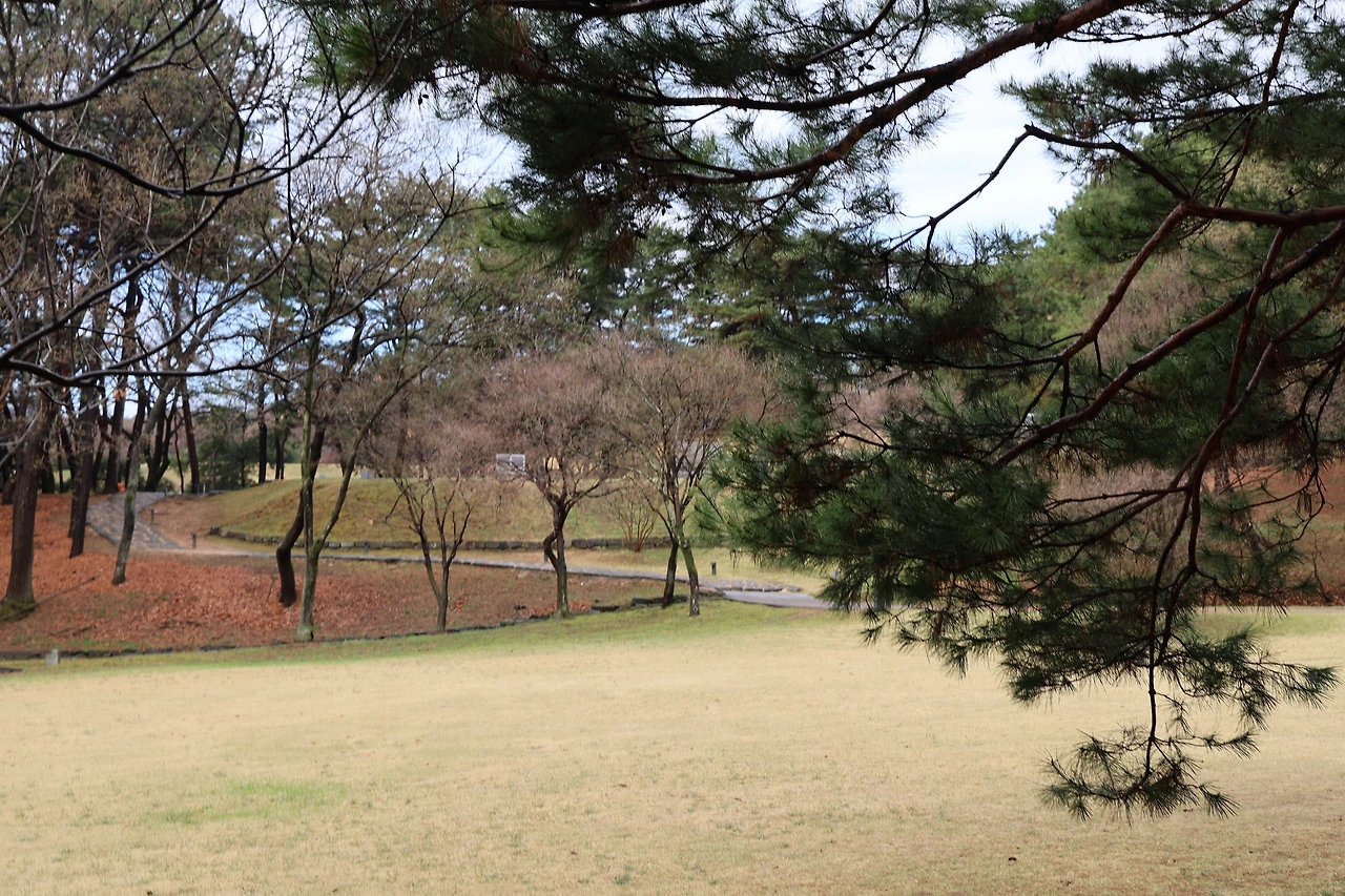 0R5A7306_новый размер.JPG