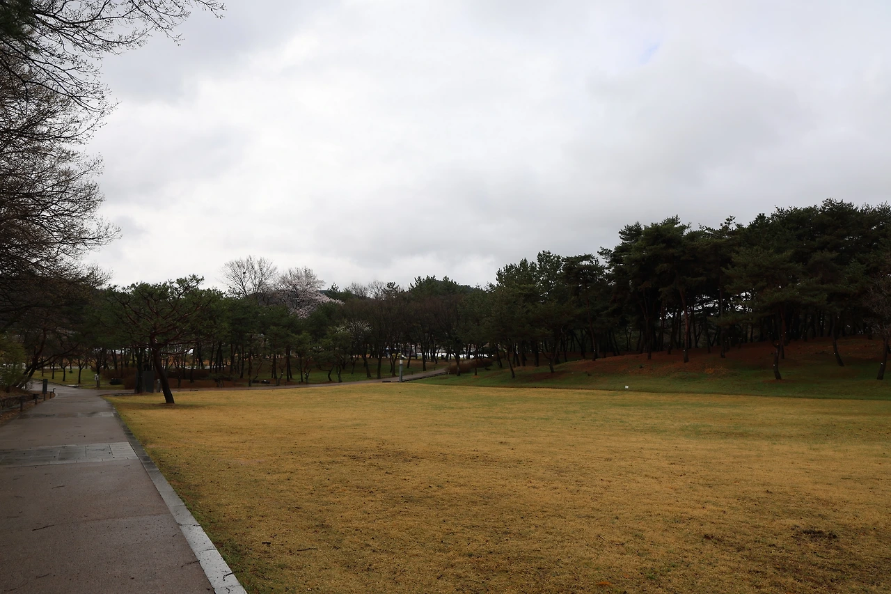 0R5A7289_новый размер.JPG