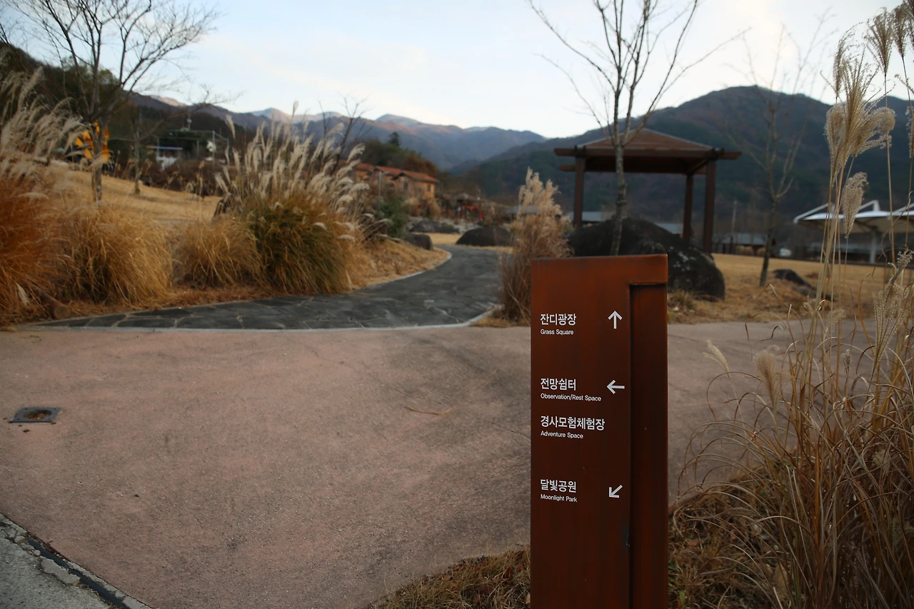 MG0A3786_новый размер.JPG