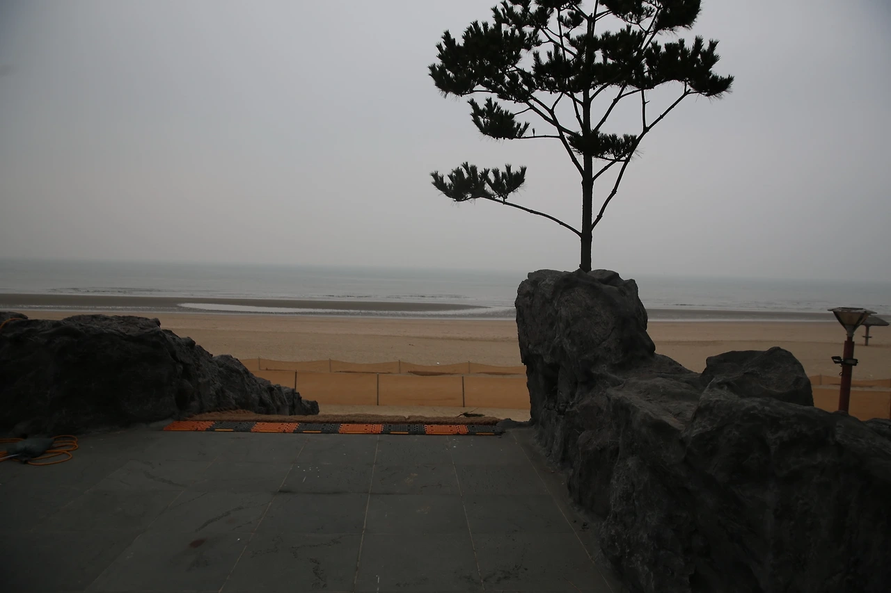 MG0A7230_новый размер.JPG