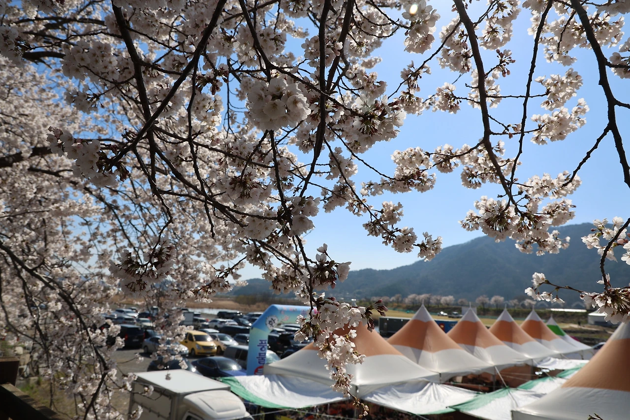 0R5A7780_новый размер.JPG