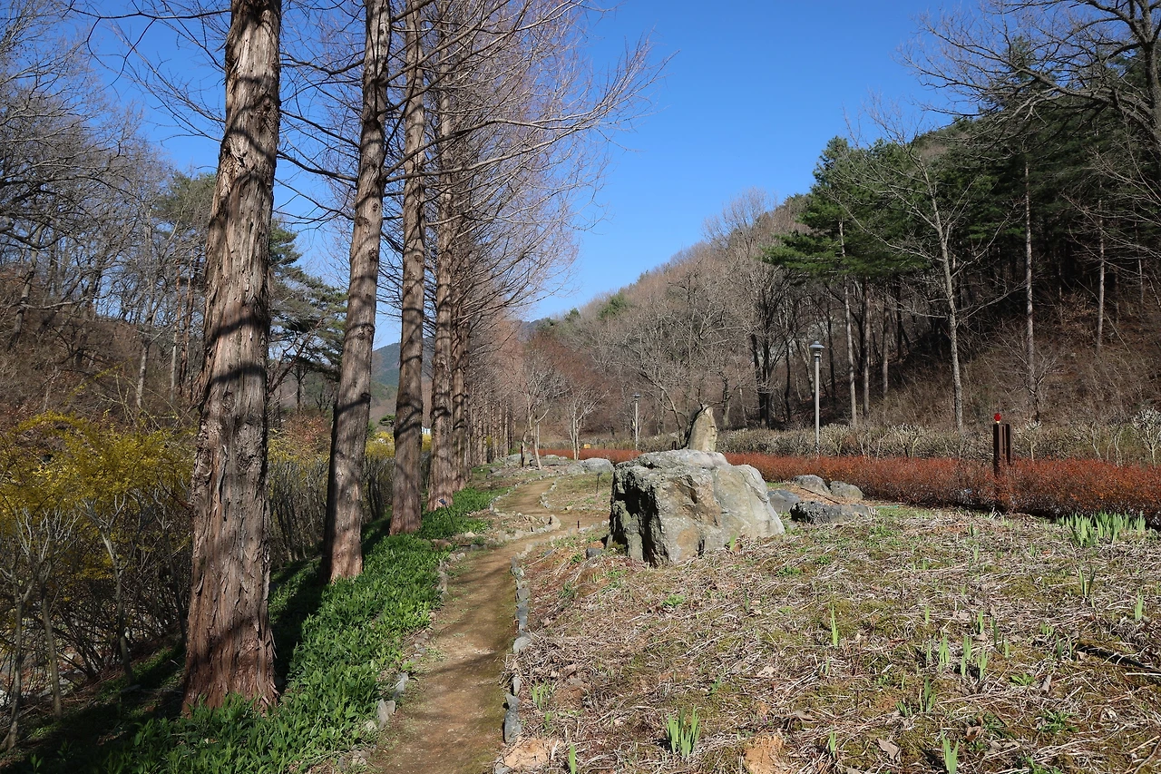 0R5A7825_новый размер.JPG