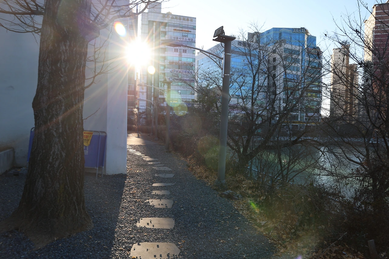 0R5A7244_новый размер.JPG