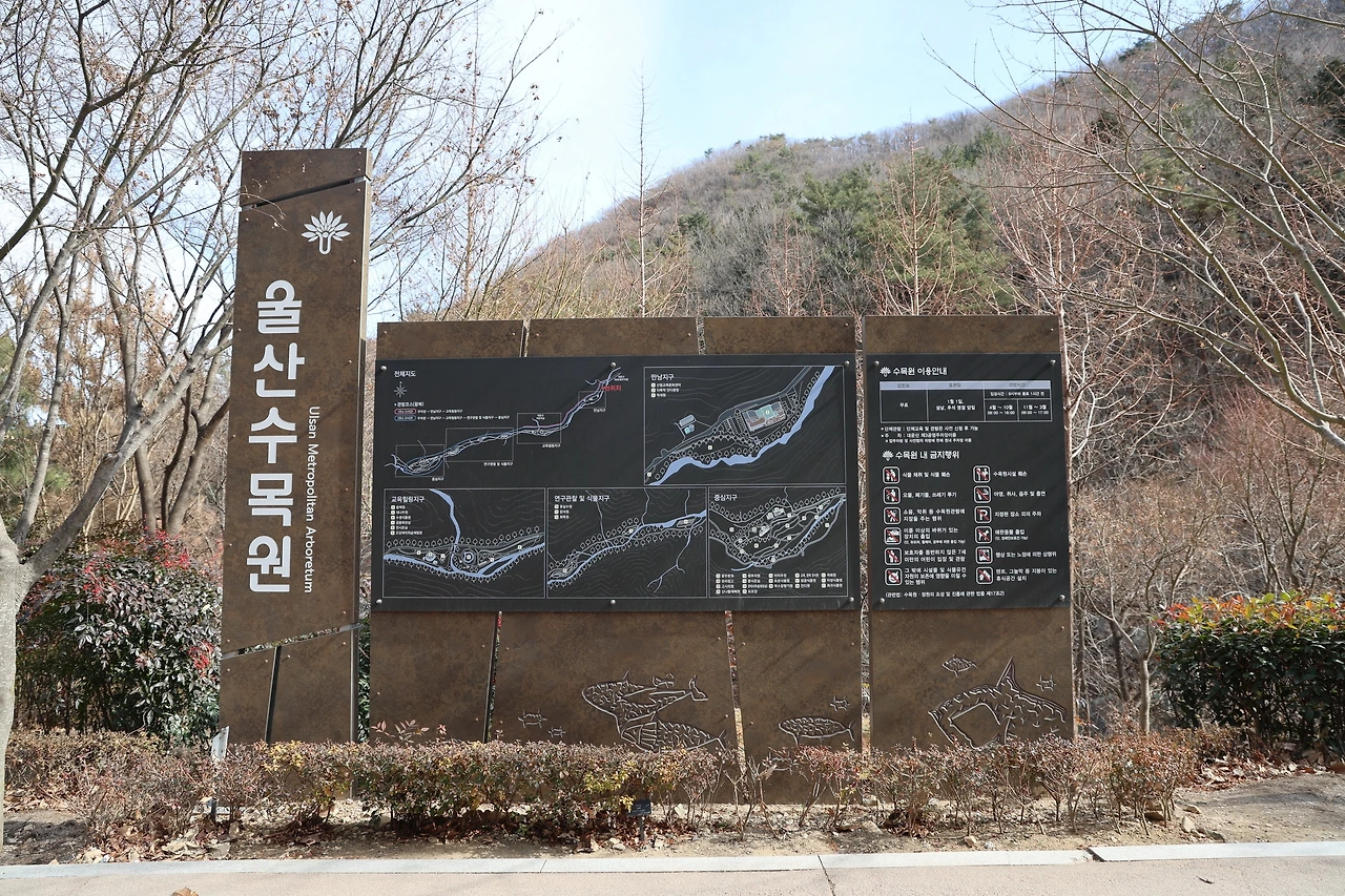 0R5A0266_новый размер.JPG