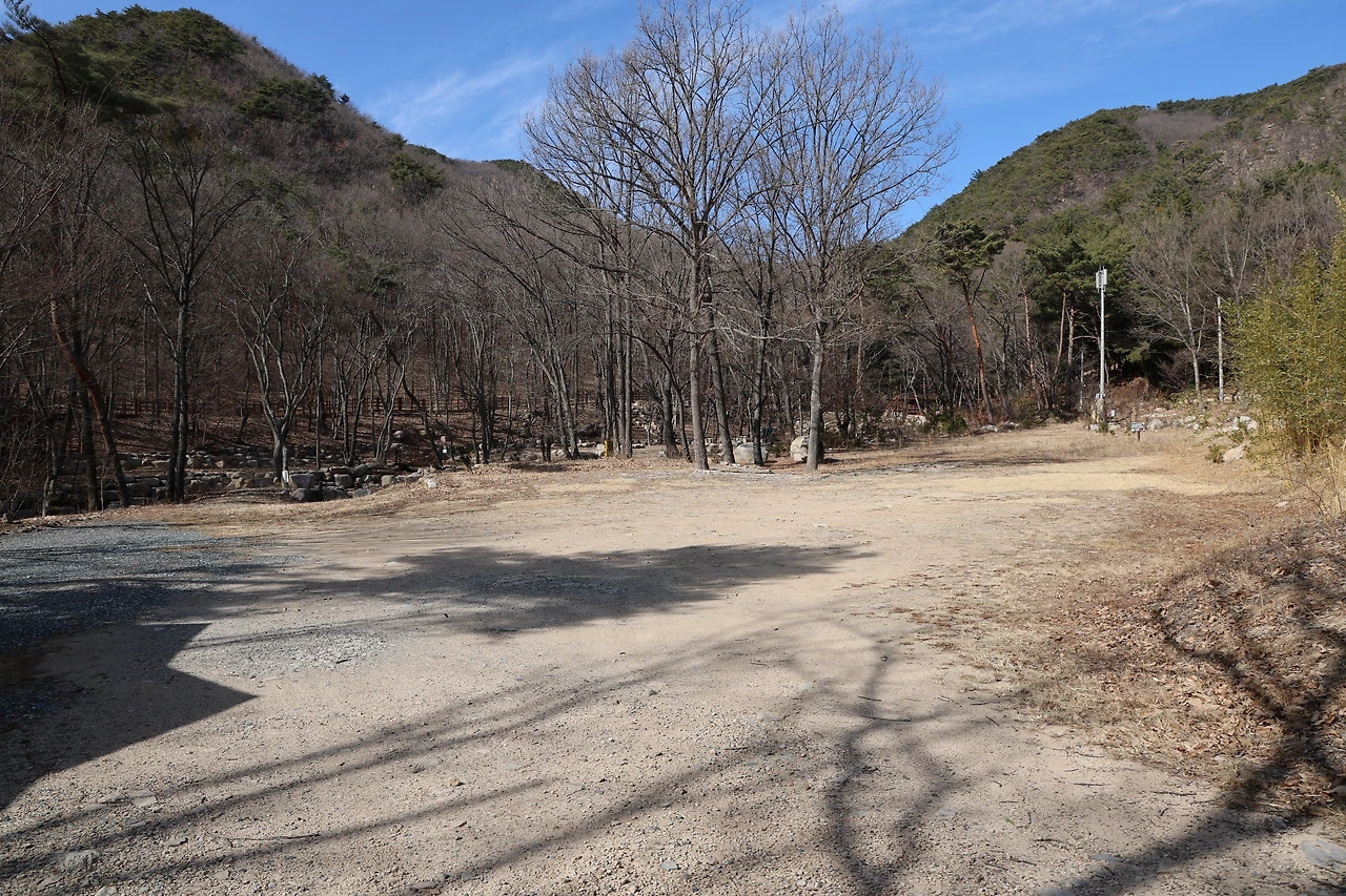 0R5A0296_новый размер.JPG