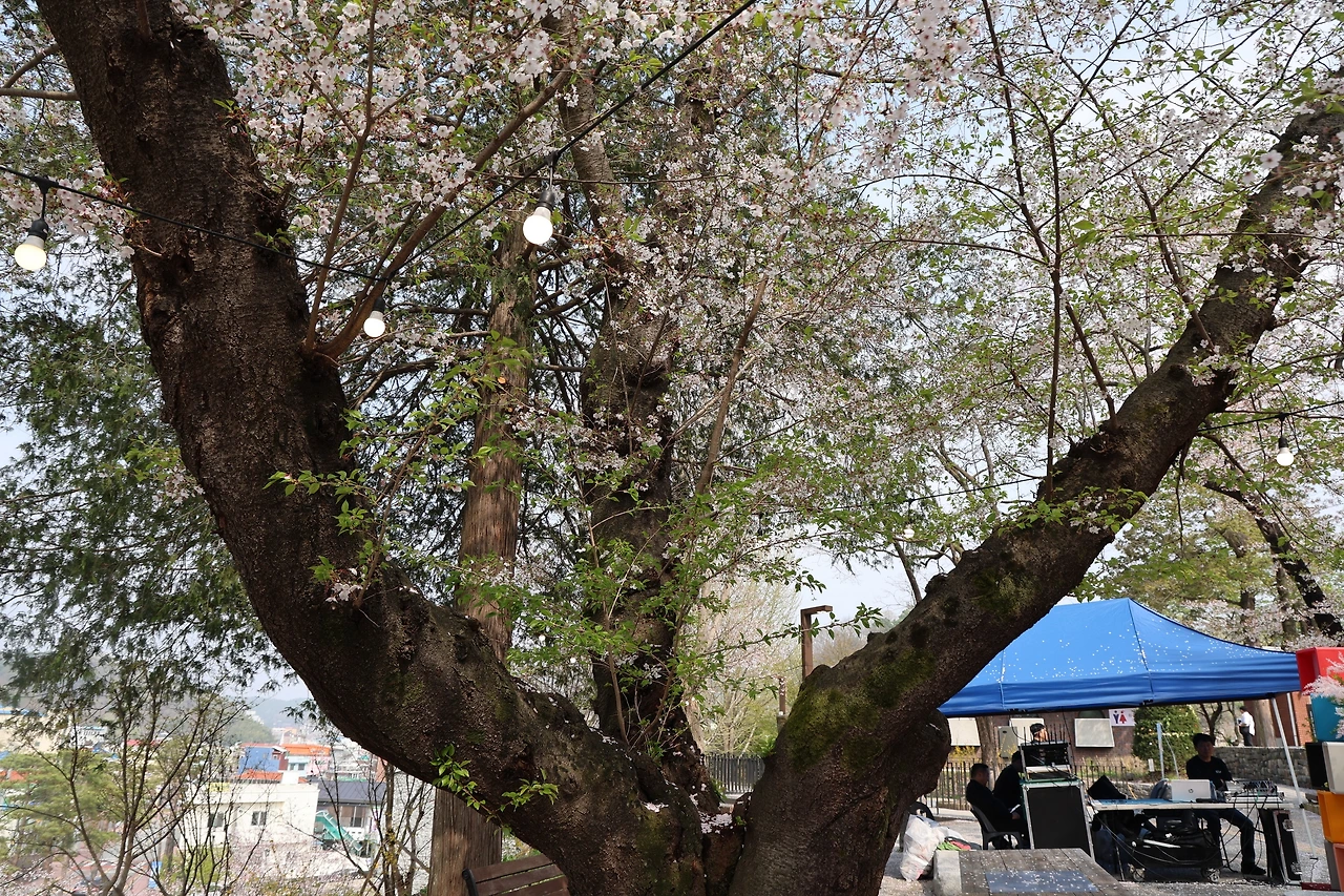 0R5A7871_новый размер.JPG